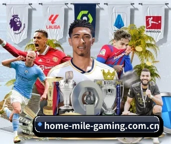 m.home-mile-gaming.com.cn APP